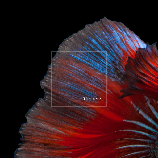 狂野少女高清免费观看第14集
