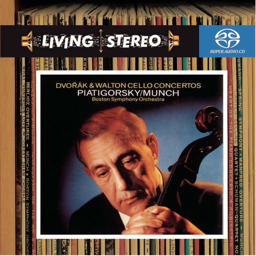 狂野少女高清免费观看第14集
